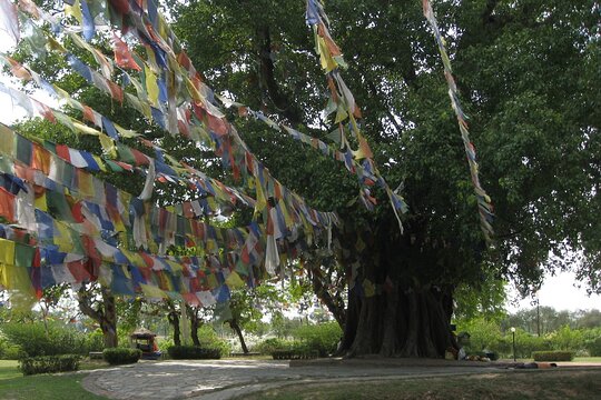 Tour image 4